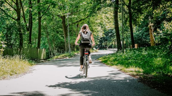 Neben den adjuvanten Therapieangeboten laden zahlreiche unterstützende Freizeitaktivitäten in der grünen Natur zur Spaziergängen und Fahrradtouren ein.