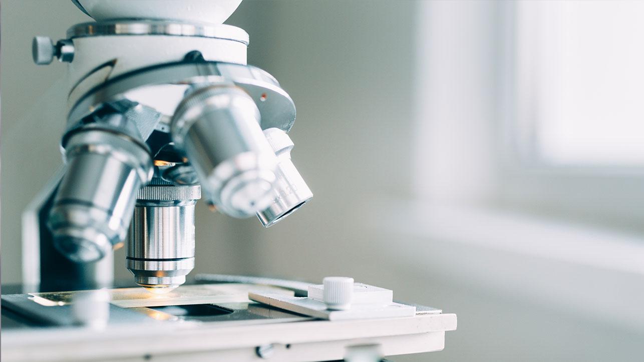 Laboruntersuchung der Werte eines Patienten der Blomenburg Privatklinik Die orthomolekulare Medizin und die Darmmikrobiom Diagnostik sind Teil der biologischen Verfahren in der Blomenburg Privatklinik.