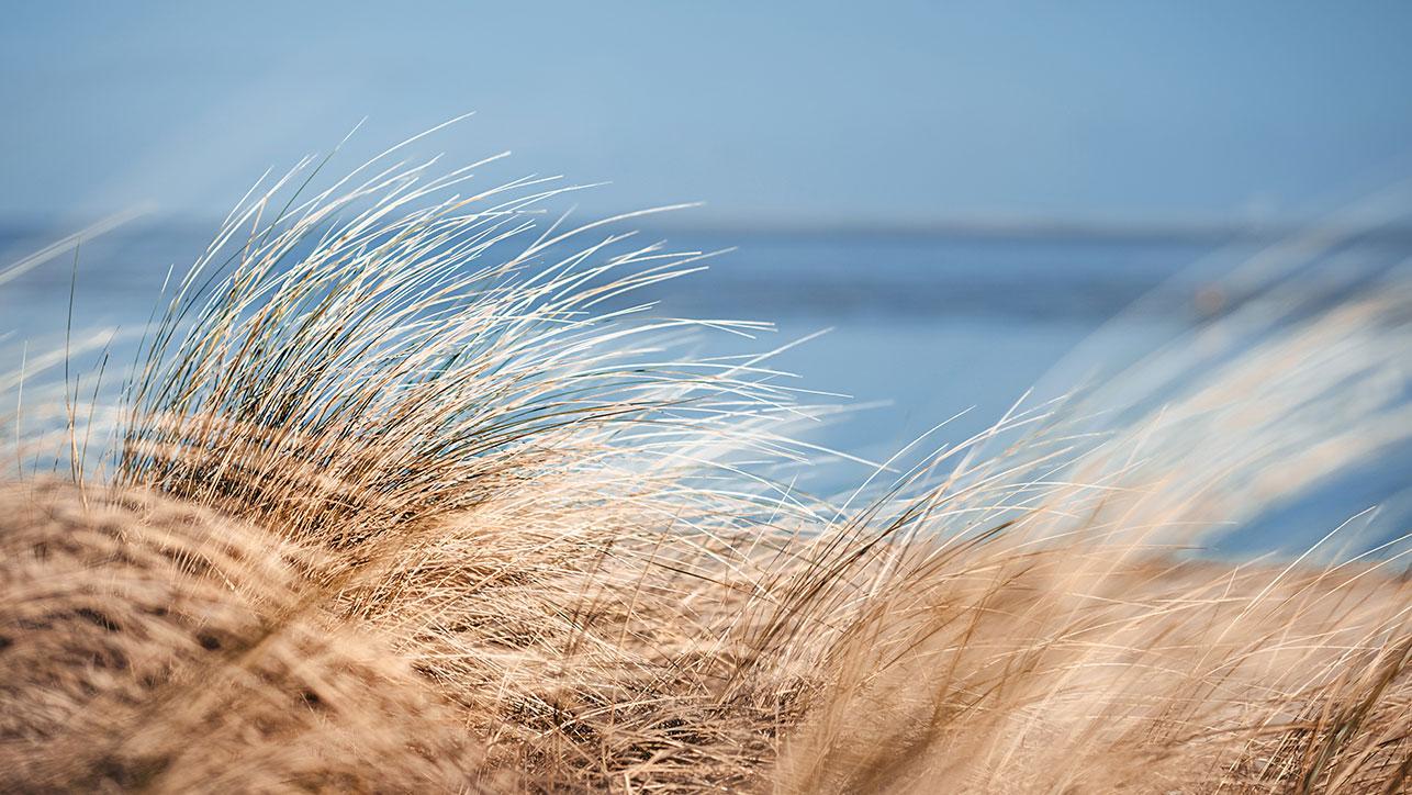 Blick durch die Dünen auf das Meer der Ostsee Die Blomenburg Privatklinik liegt wenige Kilometer von der Ostsee entfernt und ist daher der ideale Ausgangsort für zahlreiche Freizeitangebote.