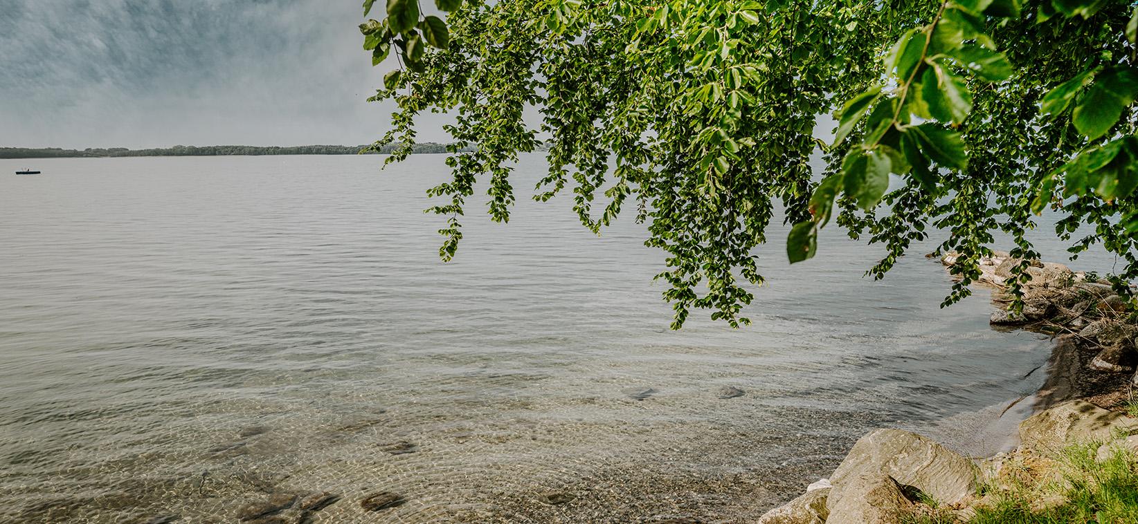 Heilungsfördernde Naturlandschaft rund um die Blomenburg Privatklinik – Selenter See Heilungsfördernde Naturlandschaft: Direkt am Selenter See nahe der Ostsee gelegen, bietet Ihnen das Umfeld der Blomenburg eine beeindruckende und vielfältige Naturlandschaft, die Entschleunigung und Entspannung fördert.