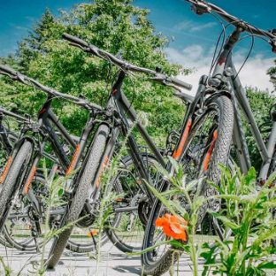 Der Fahrradverleih in der Blomenburg Privatklinik ist während ist Aufenthaltes kostenfrei für Sie verfügbar.