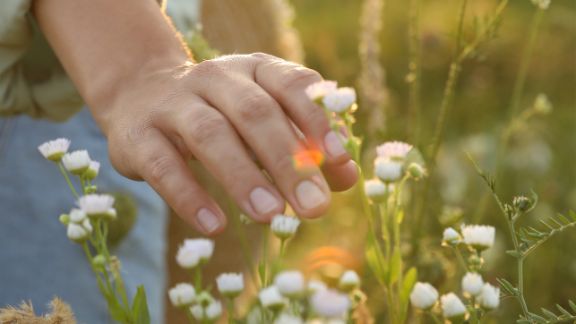 Was ist eine Sommerdepression? Hand streicht im Sonnenlicht über Blüten