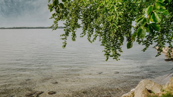 Heilungsfördernde Naturlandschaft: Direkt am Selenter See nahe der Ostsee gelegen, bietet Ihnen das Umfeld der Blomenburg eine beeindruckende und vielfältige Naturlandschaft, die Entschleunigung und Entspannung fördert.