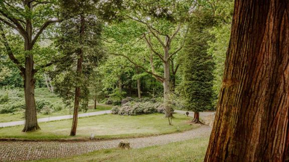 "Die Natur nutzen" im angrenzenden Wald- und Wiesengebiet der Blomenburg Privatklinik