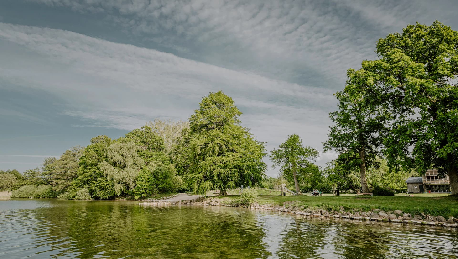 Ufer des Selenter See