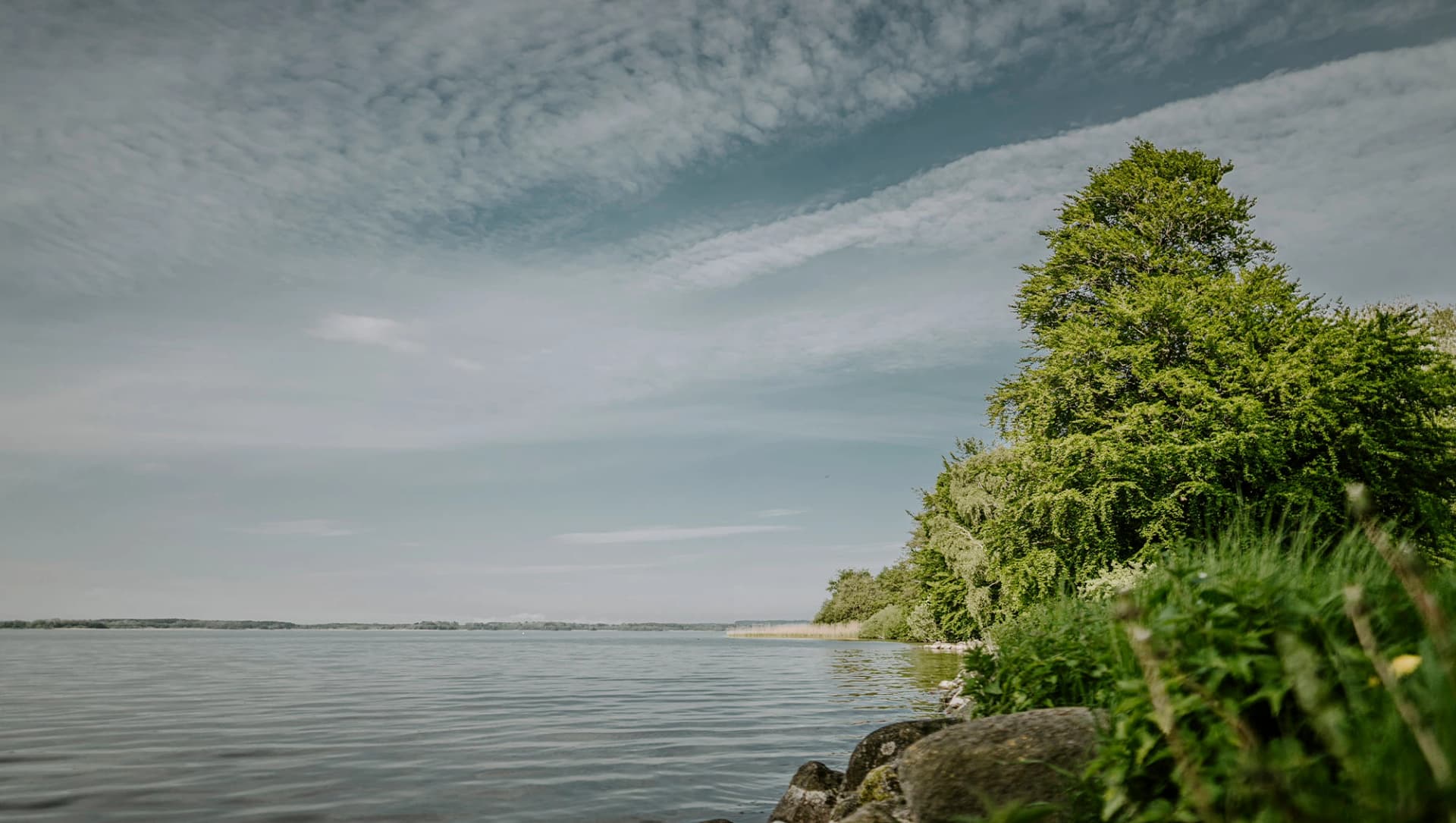 Blick auf den Selenter See