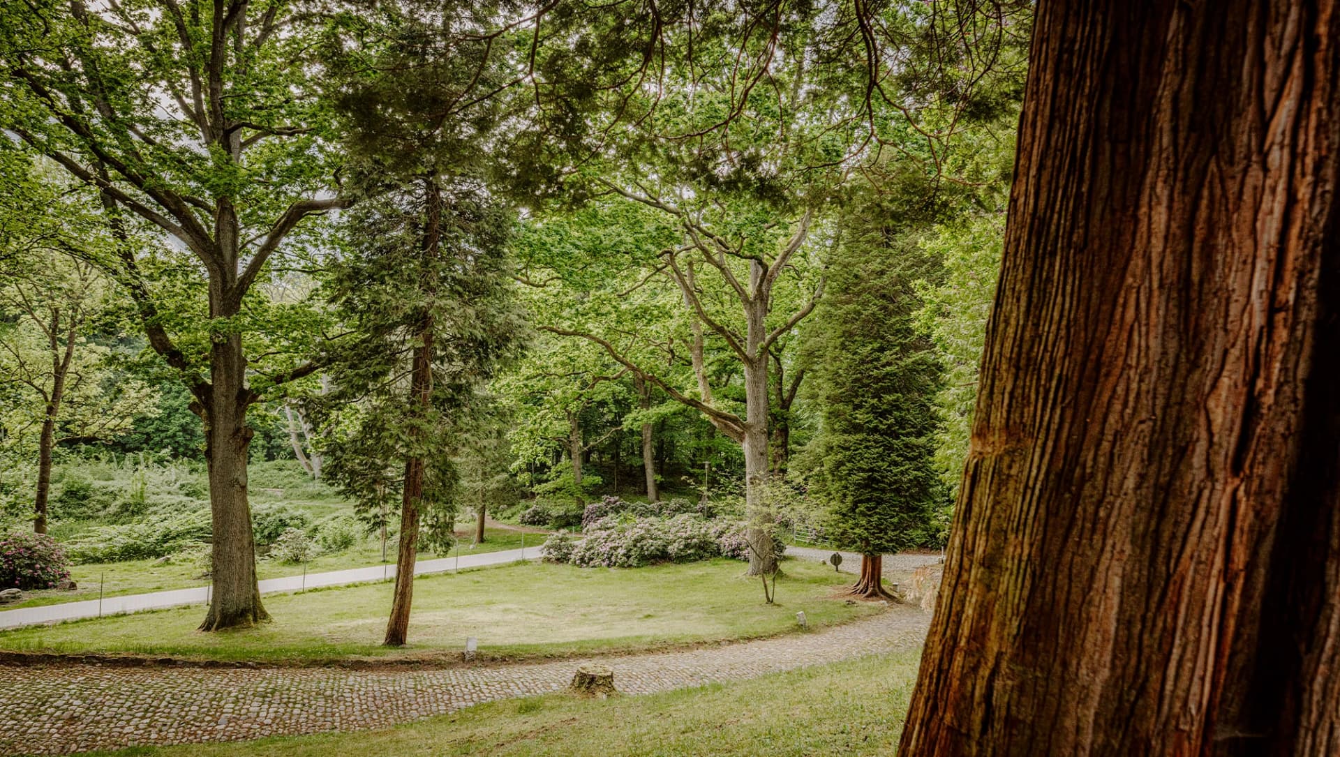 Gepflegter Waldpfad